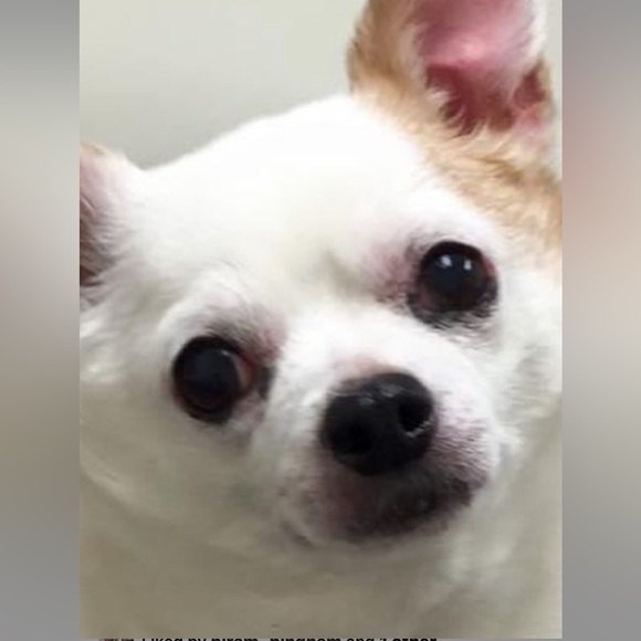 Meet your Posher, Jessica - Picture 6 of 16